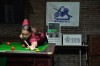 DSC 0049